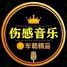 小七音乐库抖音达人头像