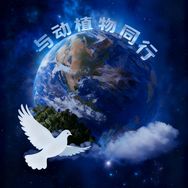 与动植物同行抖音达人头像