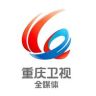 重庆卫视全媒体抖音达人头像