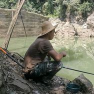 小漠养蜂诱蜂抖音达人头像