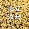 新乡饲料厂家——品质保证 值得信赖抖音达人头像