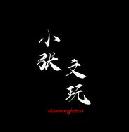 小张文玩（小号）抖音达人头像