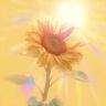 太阳花88898抖音达人头像