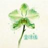 金泽缘花卉抖音达人头像