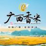 广西香米企业店抖音达人头像