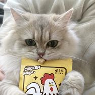 小小喵（金故直播专场）抖音号头像