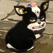 伊奇看动漫抖音达人头像