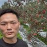 生态水果园小万抖音达人头像