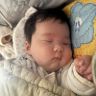 小乖抖音达人头像