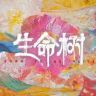 电视剧生命树(生生不息🌳抖音达人头像