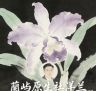 蘭屿原生社抖音达人头像