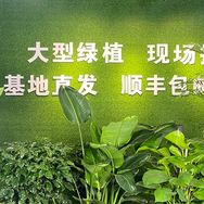 森挽花集抖音达人头像