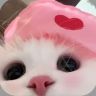 泡泡芙抖音达人头像