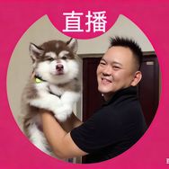 袁哥🐾红牛抖音达人头像