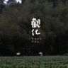 观化茶院抖音达人头像