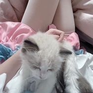 小蒋是猛男抖音达人头像