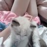 小蒋是猛男抖音达人头像