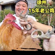 唐哥美食抖音达人头像