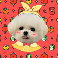 家有小丸子抖音达人头像