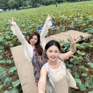 年年有鱼抖音达人头像
