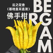 云之花舍抖音达人头像