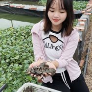 南丰渔小二龟鳖养殖抖音达人头像