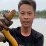 阿勇卷土重来抖音达人头像