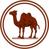 骆驼羽绒官方旗舰店抖音达人头像