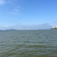 1501328745抖音号头像