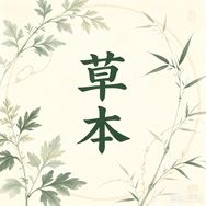 淄博市中医医院身体护理旗舰店授权抖音达人头像