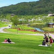 珊诺果树苗木店抖音号头像