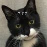 蔡哲敏子的猪比抖音达人头像