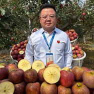 杨会长助农抖音号头像