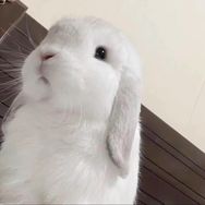 我有钰钰症抖音达人头像