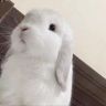 我有钰钰症抖音达人头像