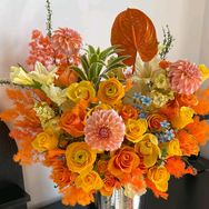 花屿慢时光抖音号头像