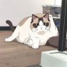 元宝百万（猫猫铺）抖音达人头像
