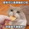 佐洢抖音达人头像