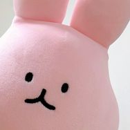 臭屁公主的日常抖音达人头像
