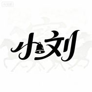 小刘玩数码抖音达人头像