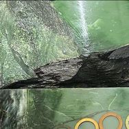 璐姐来了 凰一品珠宝抖音达人头像