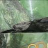 璐姐来了 凰一品珠宝抖音达人头像