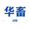 华畜动保更正规 更低价抖音号头像