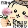 我是嫩叠抖音达人头像