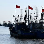 花仙笙海鲜抖音达人头像