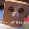 张二狗抖音达人头像