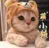 🐱萌小猫🎤¹⁰²⁴抖音达人头像