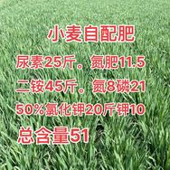 大个农业技术抖音达人头像
