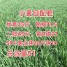 大个农业技术抖音达人头像