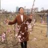 杨大姐抖音达人头像